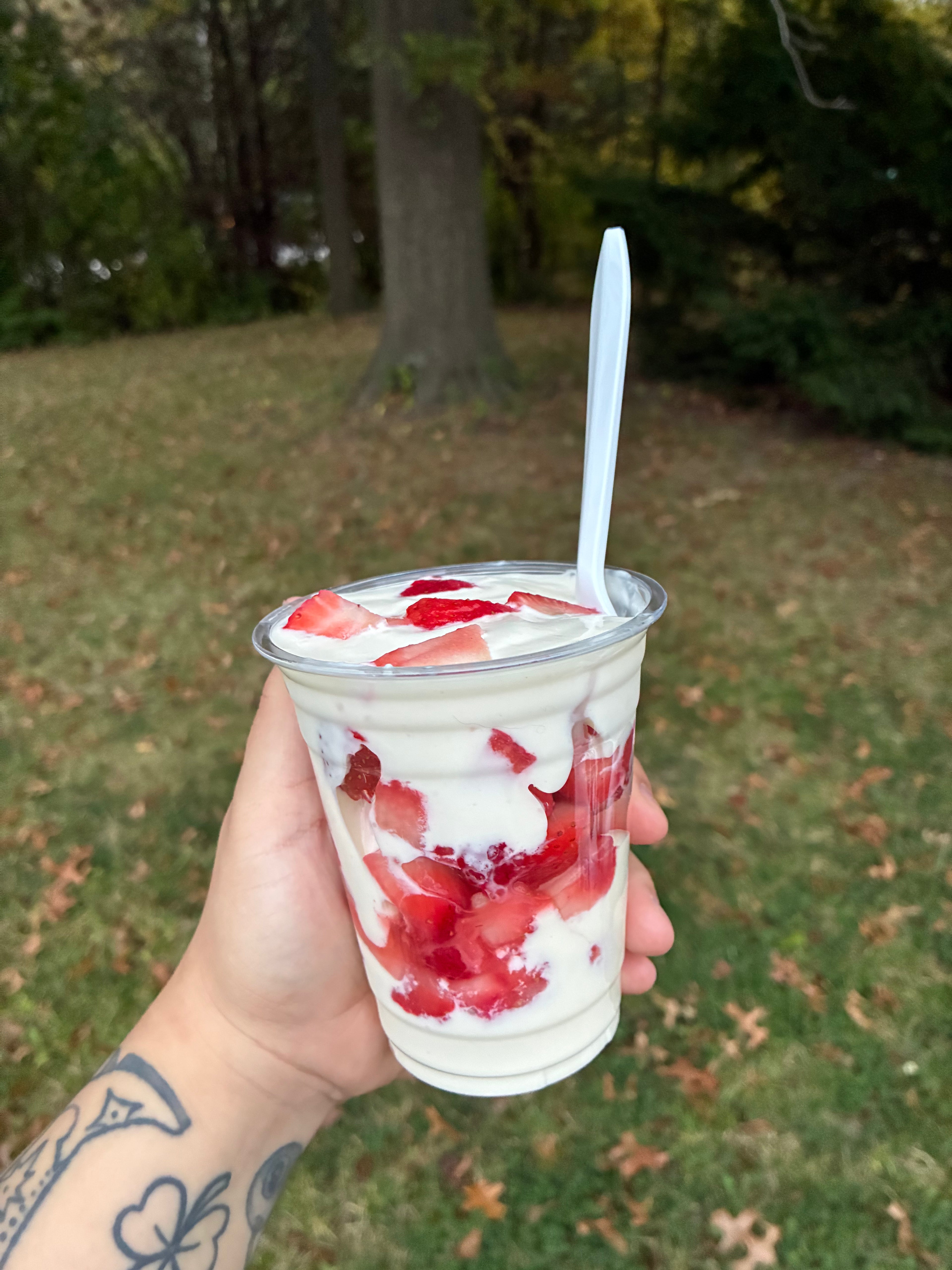 Fresas con Crema