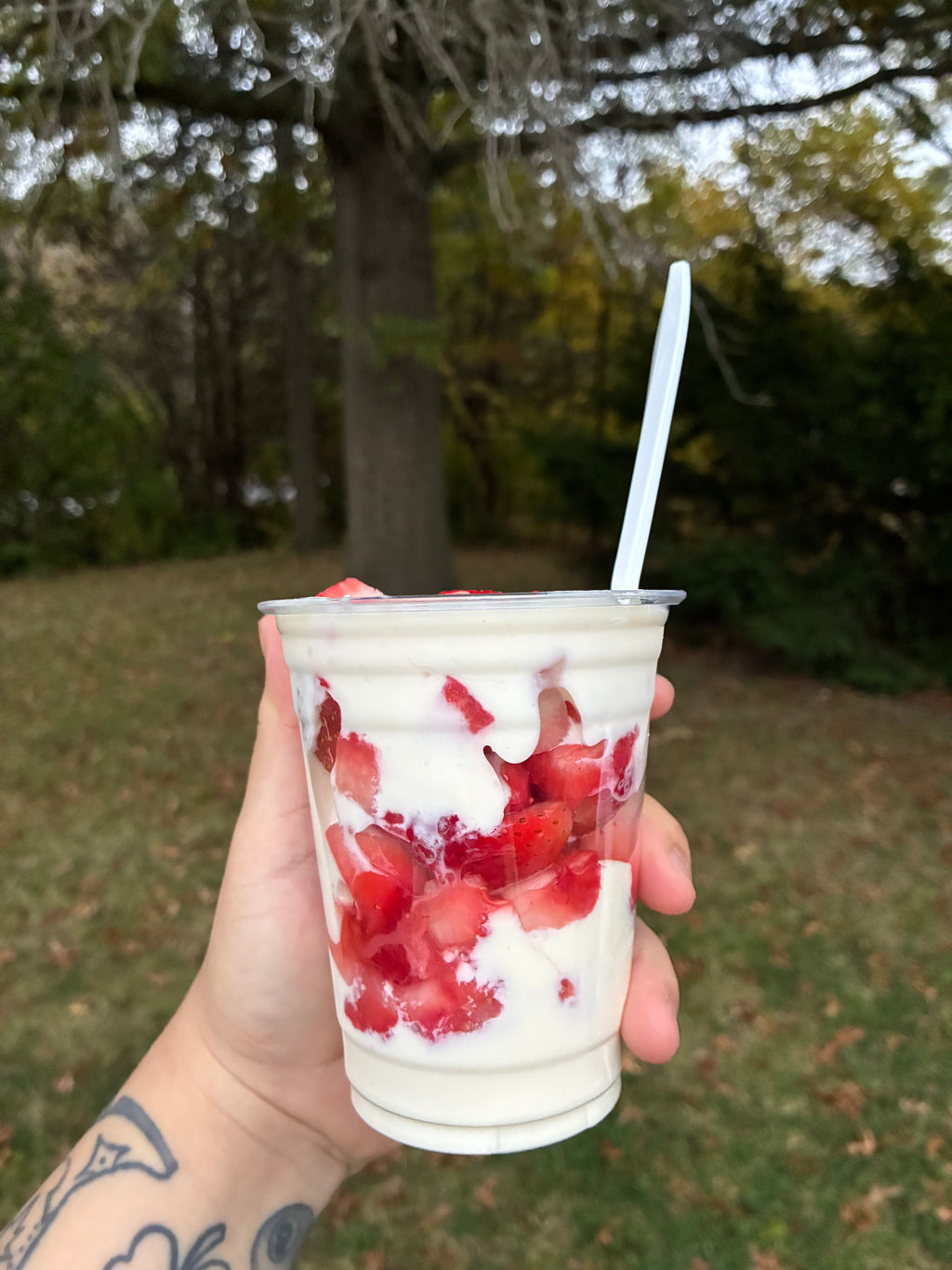 Fresas con Crema